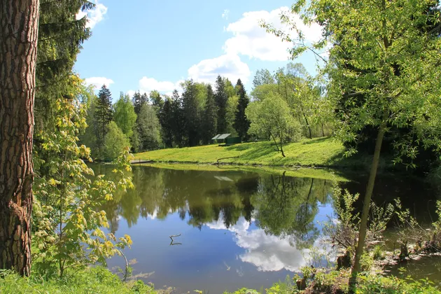 Пансионат Актер в Звенигороде: фото 2
