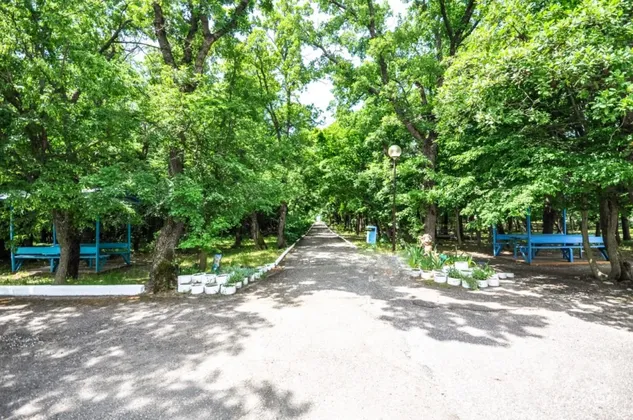 Детский оздоровительный лагерь «Альбатрос»: фото 6