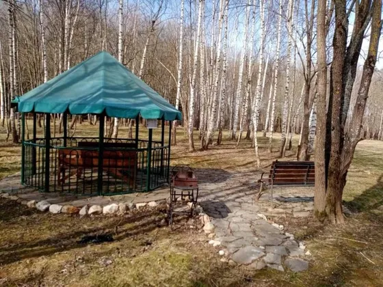 Загородный отель Флагман в Московской области: фото 27