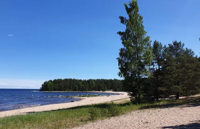 Детский оздоровительный лагерь Счастливый день в Ленинградской области: фото 22