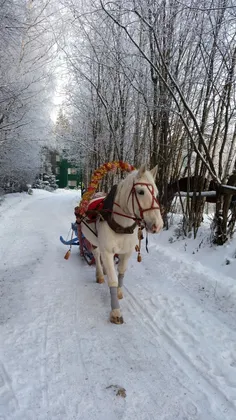 Спортивно оздоровительный комплекс Солонцово: фото 3