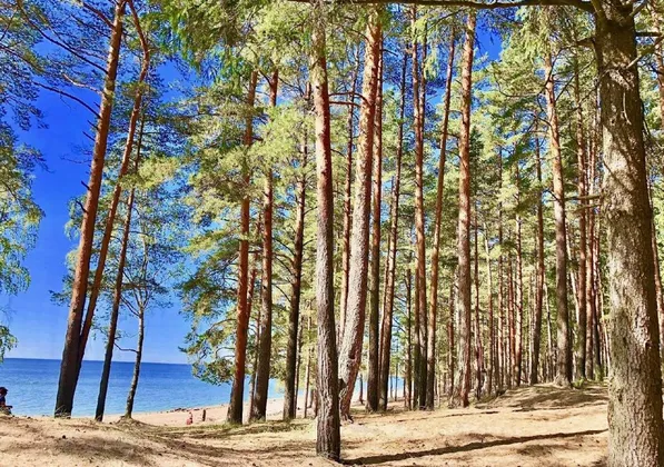 Пансионат Балтиец в Репино: фото 32