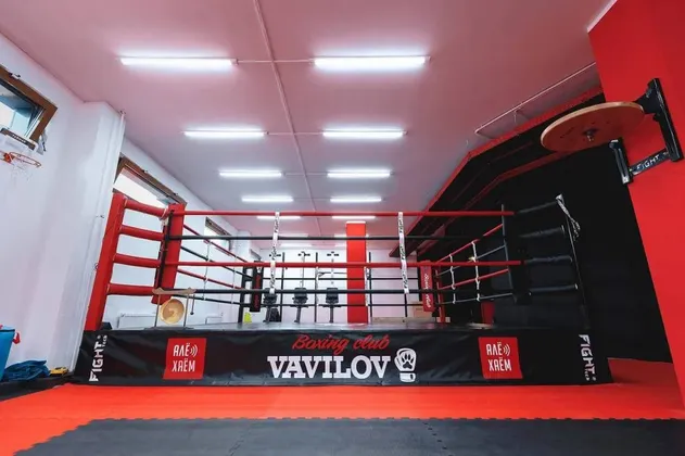 Боксерский Клуб Vavilov