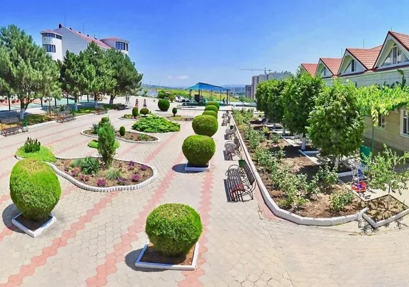 Золотая Линия: фото 5