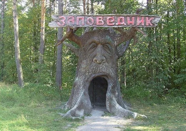 Пансионат Лужки: фото 7