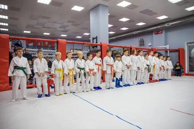 Спортивный комплекс Белые столбы Домодедово: фото 15