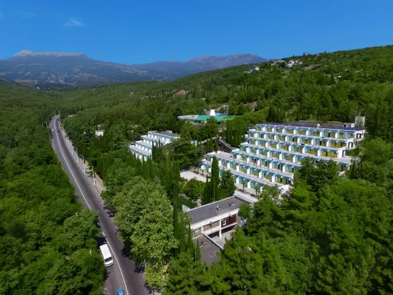 Чайка