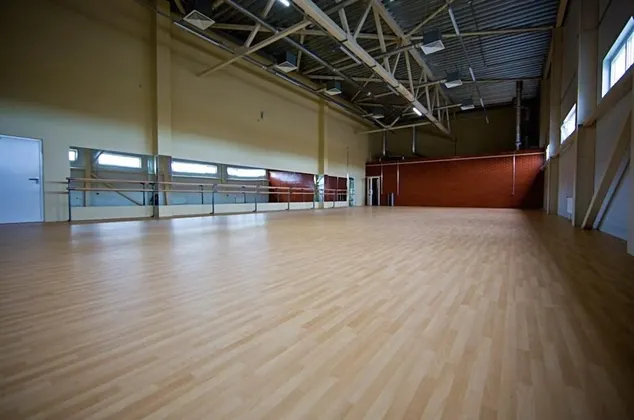 Ледовая арена Ice Rink в Новоселье: фото 9