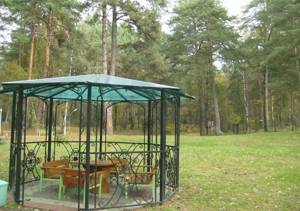 Пансионат Лужки: фото 8