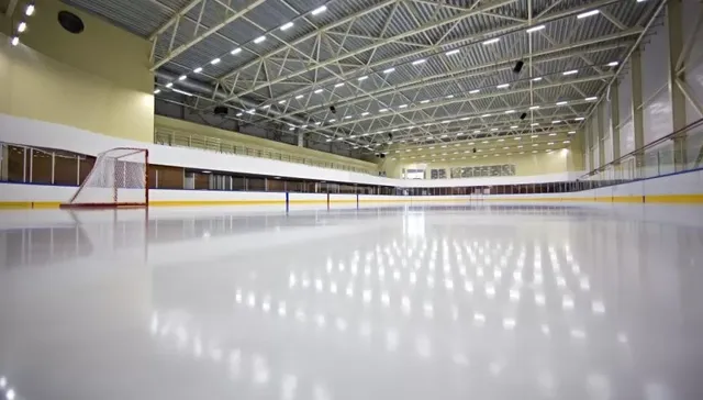 Ледовая арена Ice Rink в Новоселье: фото 3
