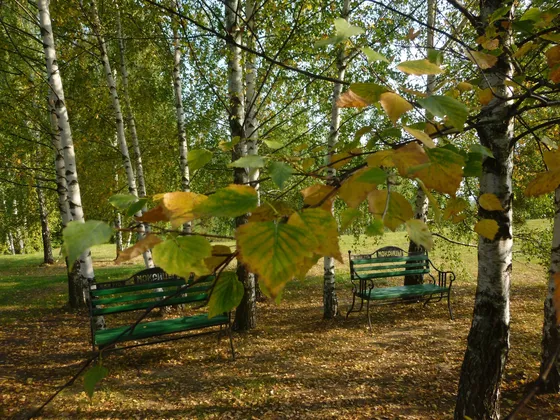 База отдыха Сумбулово: фото 32