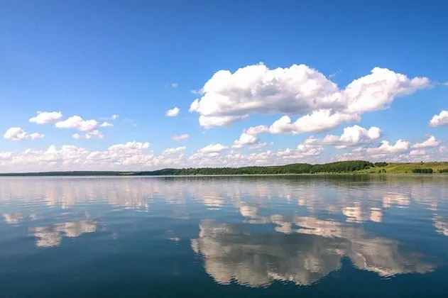 Лесная Сказка: фото 2