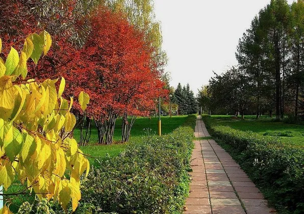 Клуб-Отель Подмосковный: фото 4