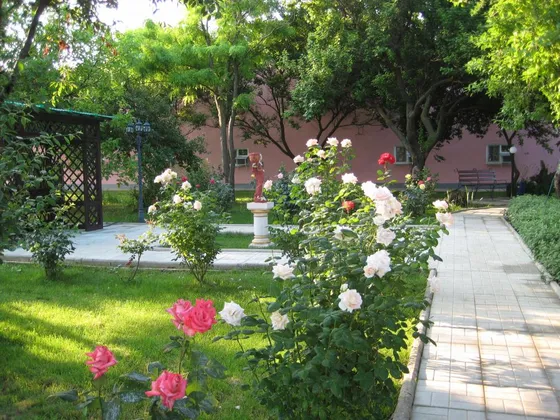 Пансионат Визит В Крыму: фото 5
