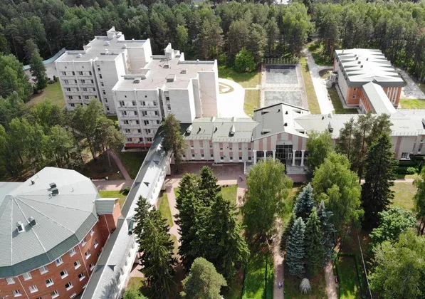 Вольгинский