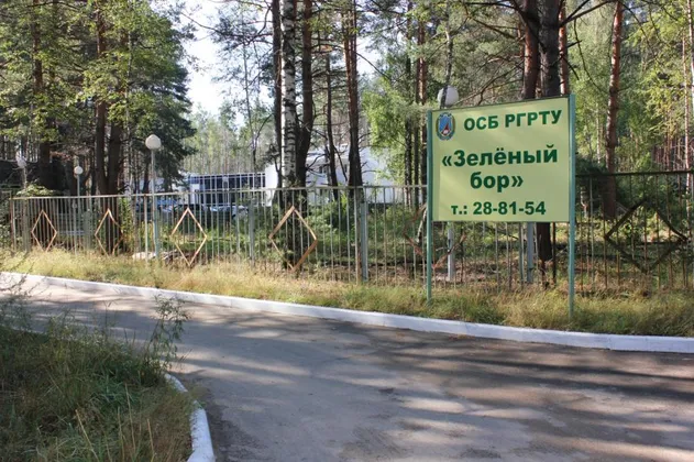 Зеленый Бор: фото 5