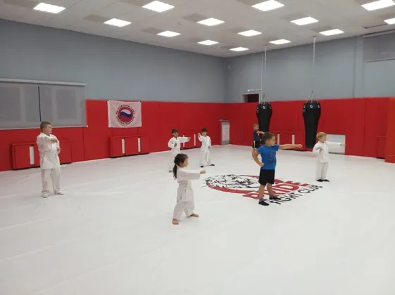 Спортивный комплекс Белые столбы Домодедово: фото 14