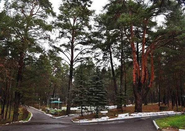 Пансионат Лужки: фото 2