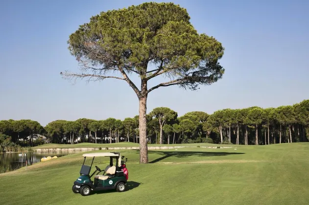 Maxx Royal Belek Golf Resort: фото 38