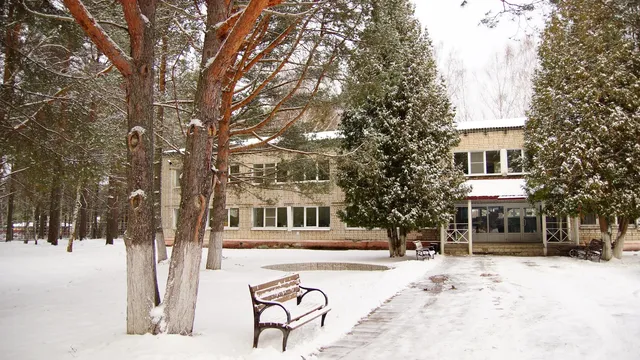 Детский оздоровительный лагерь Высоковский бор в Ярославской области: фото 2