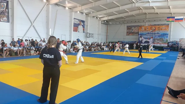 Универсальный спортивный комплекс Лазаревский в Сочи: фото 9