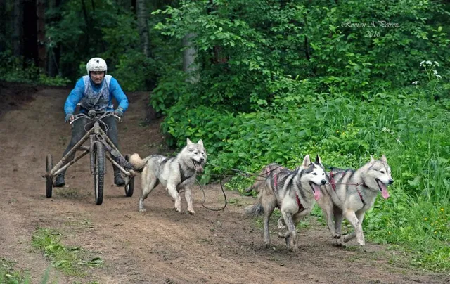 Спортивная База Чукавино: фото 15